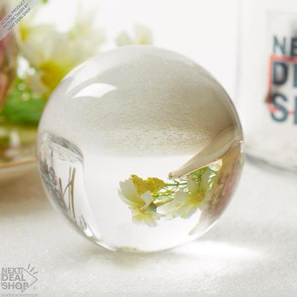 Decorative Crystal Ball - Take Amazing Photos!